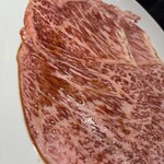 焼肉ホルモン金樹 - 