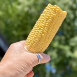 道の駅 なかさつない - 料理写真:ゆでとうきび（350円／本）。