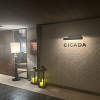 CICADA - 