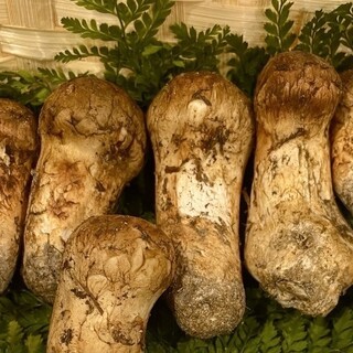 可靠的近江町市場，每天早上親自前往採購的食材