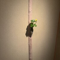 寿司つばさ - 