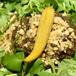 カラシビカレー 鬼金棒 - 