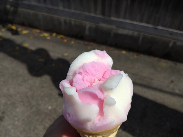 ババヘラアイス（進藤冷菓） - 船越（その他）の写真