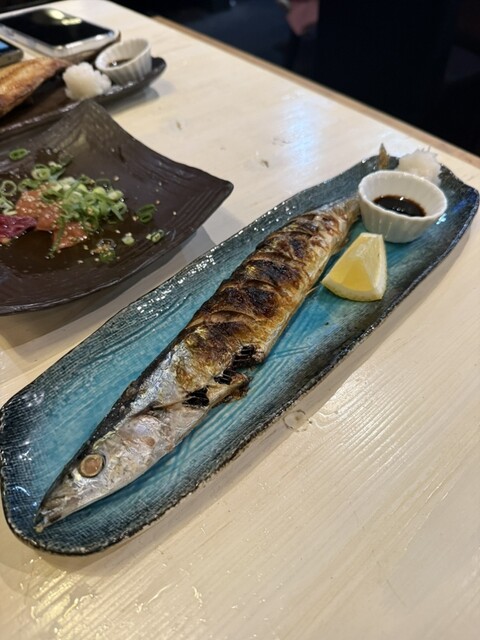 Tori to Sakana ga Umai Mise Sakurako photo 5