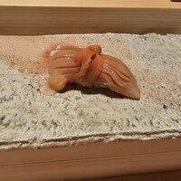 匠 進吾 - 