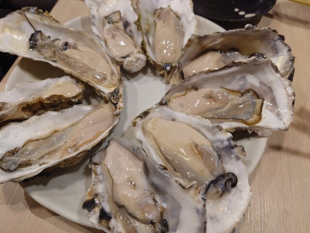 生牡蠣生牡蠣生牡蠣』by みどりみどり2644 : かきのおきて