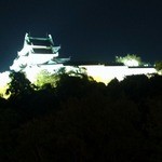 Kishuuno Shizuku - 夜の和歌山城です