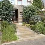 メープル ストリート マーケット - 