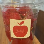 NICA - 