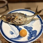 炭火割烹 稲米舎 - 