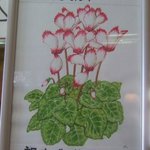 活魚割烹 赤坂 - 