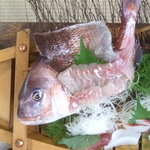 活魚割烹 赤坂 - 