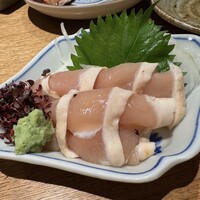 始祖鳥 - 