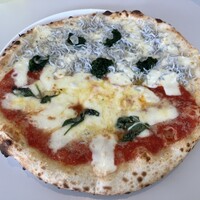 CODA ROSSA - 
