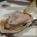 オストレア oysterbar&restaurant  赤坂見附店 - 