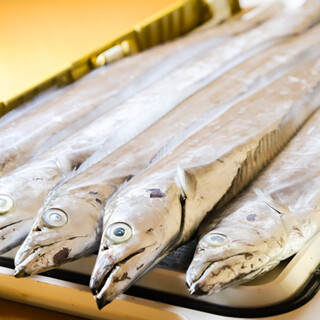 店長直々の釣り魚を堪能！旬の魚料理が豊富な店