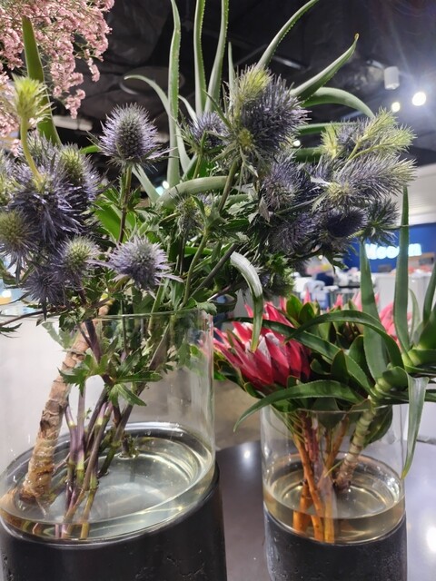 Fruit Factory Mooon 天神ソラリアプラザ店 （フルーツファクトリー