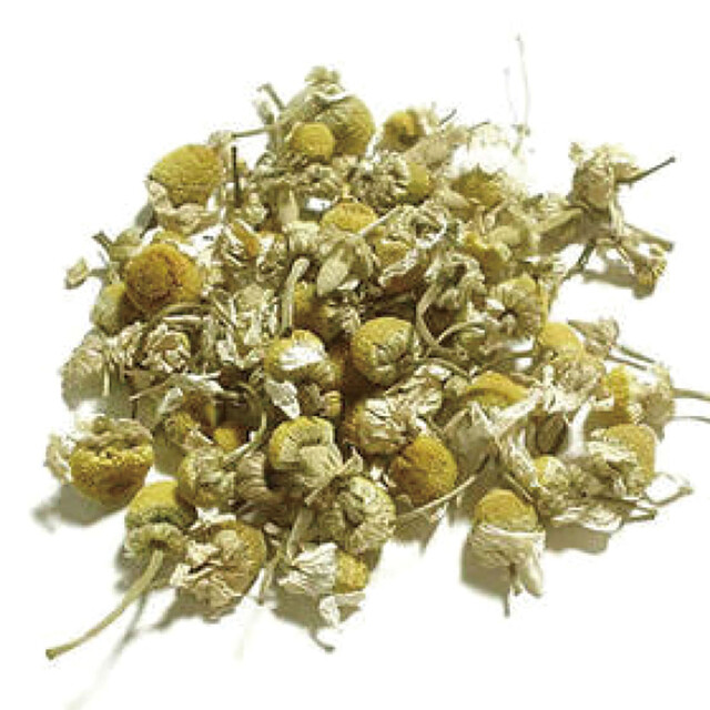 Merengue Prime Tre Akaike Ten photo 3