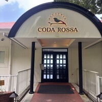 CODA ROSSA - 