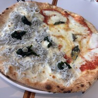 CODA ROSSA - 