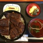 炭火焼うなぎ 東山物産 - うなぎ丼の中（上方から）