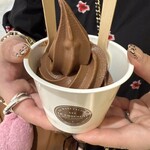 LE BISCUIT ALAIN DUCASSE - 