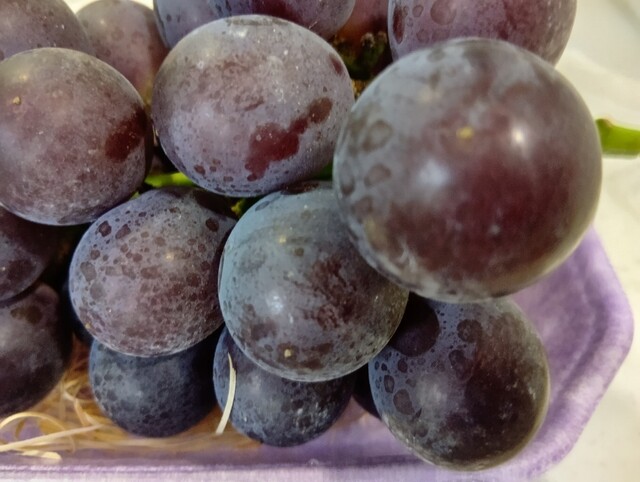 果樹 R 斉藤果樹園 - 千葉ニュータウン中央/売店 | 食べログ