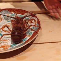 しらに田 - 