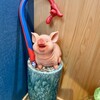 せんじがら専門店 かりや