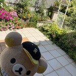 楽時屋 - お庭のお花たち。