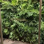 ウルフギャング ステーキハウス 高輪店 - 