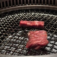日本焼肉 はせ川 銀座店 - 
