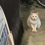 焼きもの家 慶 - 