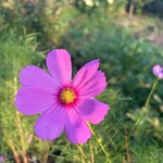 Karuizawa Ristorante Kobayashi - 