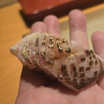 Teruzushi 2ndedition - 