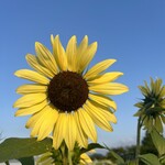 Karuizawa Ristorante Kobayashi - 