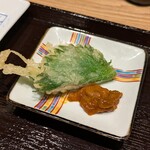 長崎天麩羅 こうてん - 