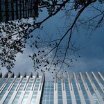 重慶料理 東々包 - ボクは今日まで生きてきて