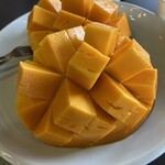 ユートピアファーム宮古島 - 