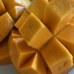 ユートピアファーム宮古島 - 