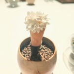 ラ・ヴァガボンド - 