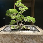 宮中 別邸 - 高級な雰囲気