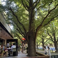 キハチ 青山本店 - 