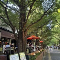 キハチ 青山本店 - 