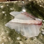 鮨桂太 - マダイ