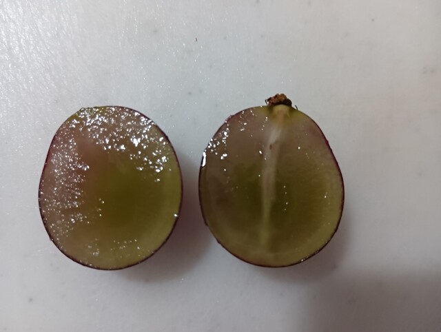 斉藤果樹園 - 千葉ニュータウン中央/売店 | 食べログ