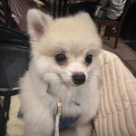 カプリチョーザ 神戸モザイク店 - 