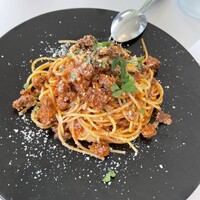 CODA ROSSA - 