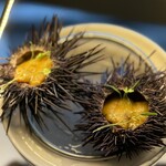 梅田 ブルーバード - 