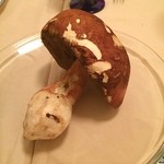 カーサ カルマ - マァ、ゴリッパ